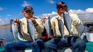 Flaming Gorge Kokanee II [upl. by Anole]