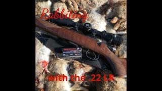 Rabbiting with the 22LR [upl. by Cindie]