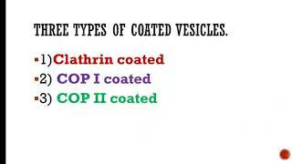 Clathrin coated Vesicles and Protein Transport [upl. by Pyszka825]