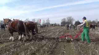 Leistungspflügen in PönitzUntersteenrade Verein Historische Furche am 1442013 [upl. by Firehs]