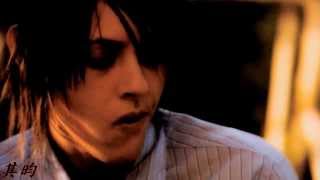 ☯ Kate Moennig  Shane McCutcheon  Young and Beautiful [upl. by Atnim]