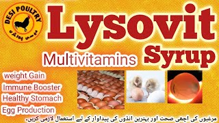 Lysovit Use and Benefits for Chicken  Blessing for Chicks  vitamins  Immune Booster Desi poultry [upl. by Sihun]