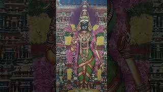 madurai meenakshi amman kovvil varalaaru [upl. by Idnahc]