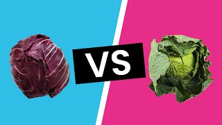 Red Cabbage vs Green Cabbage  What’s the Difference [upl. by Aliehc]