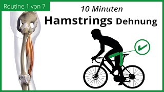 HAMSTRINGS DEHNEN für Radfahrer  10 Minuten DEHNROUTINE  MECKLENBURGER SEEN RUNDE 17 [upl. by Airun]