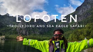 Norway  Trollfjord and Sea Eagle Safari Lofoten [upl. by Israeli]