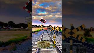 Railroad crossings And Jumping on Railway track 🚦shorts youtubeshorts [upl. by Leirua]