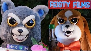 Feisty Dogs Compilation [upl. by Tiny]