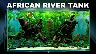 EPIC Africa Aquarium Aquascape Tutorial w Butterfly Cichlid amp Congo Tetra [upl. by Rozamond]