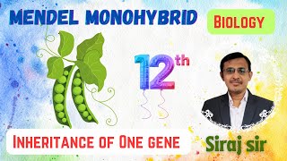 Inheritance of One geneMendel monohybrid ratioAlleles Test cross Class 12SciFlix345 [upl. by Eiramyelhsa]