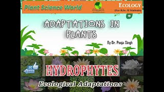 Hydrophytes Ecological adaptation [upl. by Nailimixam]