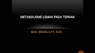 Metabolisme Lemak Pada Ternak [upl. by Alegnatal]