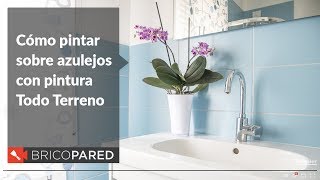 Cómo pintar sobre azulejos con pintura Todo Terreno [upl. by Irtimid759]