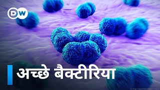 ये बैक्टीरिया अच्छे हैं Probiotics Good bacterias [upl. by Leaw706]