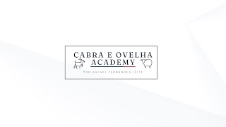 A proposta do Canal CABRA E OVELHA ACADEMY [upl. by Itak733]