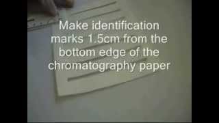 Chromatographic Separation of Amino Acids [upl. by Sprung]