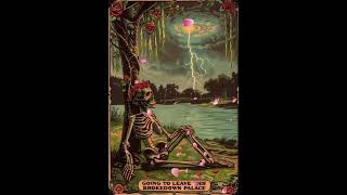 Brokedown Palace by the Grateful Dead gratefuldead jerrygarcia bobweir [upl. by Anilatac]