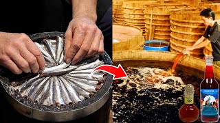 How Anchovies Sauce are Made  Anchovy Sauce Production [upl. by Adnohsor]