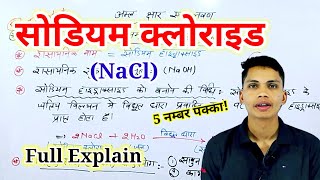 सोडियम क्लोराइड क्या है  sodium chloride kya hai  sodium chloride ka upyog chemistry class 10th [upl. by Kurzawa]