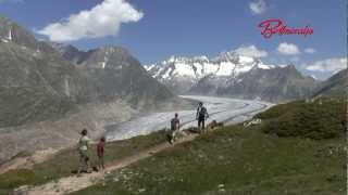 Auf zur Bettmeralp [upl. by Marigolde542]