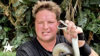 Dingo Dinkelman YouTube Reptile Handler Dead After Snake Bite [upl. by Accber]