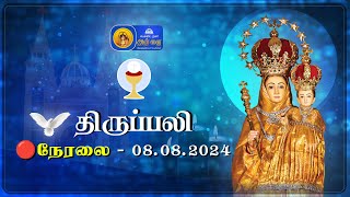 🔴 LIVE  Holy Mass in Tamil  08 August 2024  Annai Vailankanni Shrine  Besant Nagar Annai [upl. by Luht]