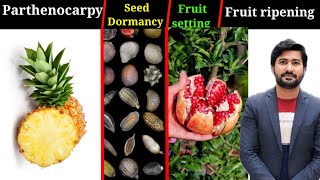 184 Parthenocarpy  Seed Dormancy  Fruit setting and ripening fsc Biology class 12 [upl. by Giacopo953]