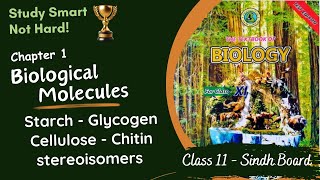 Starch Glycogen Cellulose Chitin Stereoisomers  Chapter 1  Sindh Board  Biology  Class 11 [upl. by Rector]