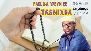 Fadliga Tasbiixda  Sheekh Mustafe Xaaji Ismaaciil Haaruun Fadlan Subscribe AlfaSalaamTV [upl. by Ermengarde765]