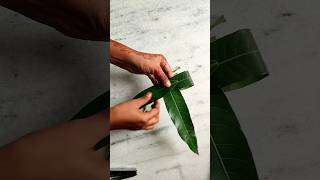 🍃🌺mango leaves decoration ideabackdrop decorationpooja decoration ideaviraldiyhomedecoridea [upl. by Eninaej517]