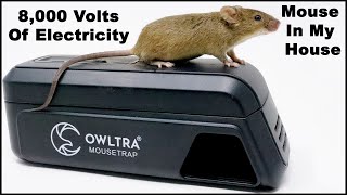 8000 Volts Of Electricity End A Mouse Home Invasion The OWLTRA Infrared Trap Mousetrap Monday [upl. by Mcguire664]