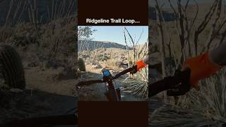 Really enjoyed the Ridgeline loop off Honeybee Trail mtb mountainbiking mtbshorts mtbarizona [upl. by Eirbua]