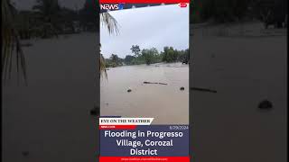 Flooding in Progresso Village Corozal District News Fives Tipline 6725555 [upl. by Iow]