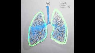 Pneumothorax Animation Shorts [upl. by Anavi]