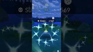 Shiny Surskit Pokemon GO [upl. by Jewett649]