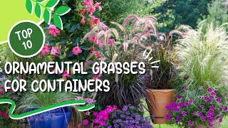 10 Best Ornamental Grasses for Containers 🌾 Great Grasses for Containers [upl. by Ettenwad]