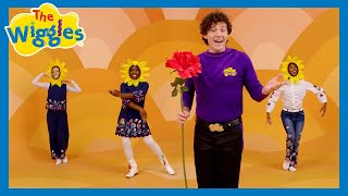 Today 🌞 The Wiggles 🎶 Kids Pop Songs [upl. by Cletis]