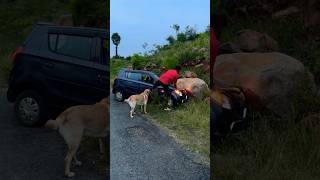 40K❤️Subscriber😂🤣Kandipa twist iruku😂watch till end labrador doglover goldenretriever puppy [upl. by Nosreme]