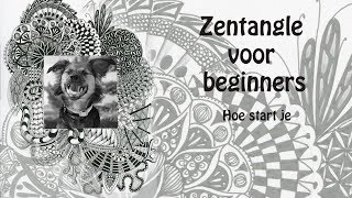 Zentangle voor beginners hoe start je [upl. by Aiyekal788]