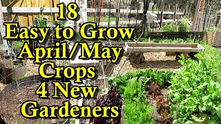 18 Easy to Grow Crops for AprilMay amp the Fall with Growth Examples [upl. by Noillimaxam]