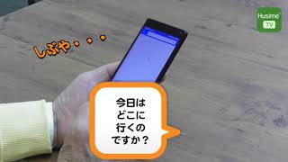 HusimeTV 団塊の世代のスマホ挑戦「乗り換え案内アプリ」デジタルって人生より難しいもんか 笑 [upl. by Annovad62]