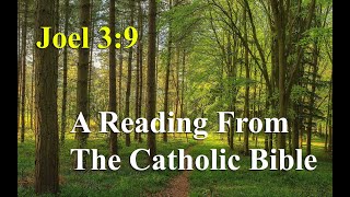 Joel 39  A Reading From The Catholic Bible [upl. by Adorne]