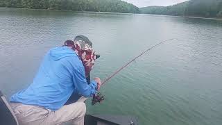 Hiwassee lake Stripers [upl. by Llemaj]