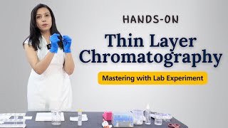 Mastering Thin Layer Chromatography Technique  TLC HandsOn Lab Experiment [upl. by Salema]