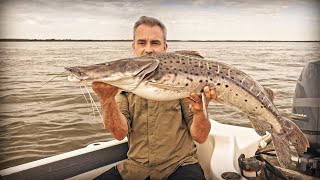 LA MERVEILLE DU FLEUVE PARANÁ  Cyril Chauquet [upl. by Alekahs361]