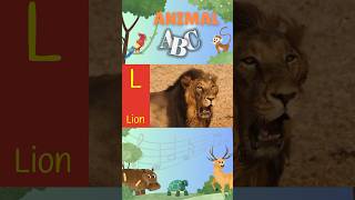 Learn the Alphabet with Animals  ABC Phonics song Animals   K to O animalabc abcphonics [upl. by Tiemroth]