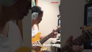 whiter shade of pale guitar cover guitar [upl. by Eked307]