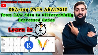 How to find DEGs from RNAseq Gene Expression Data in 4 minutes using Rstudio [upl. by Nautna]