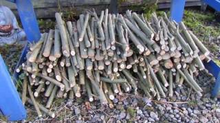 Goddess Permaculture Fruit Gardens at Bealtaine Cottage Ireland [upl. by Annaert269]