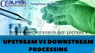 Upstream vs Downstream Processing Industrial Microbiology lecture 3 [upl. by Sunil]